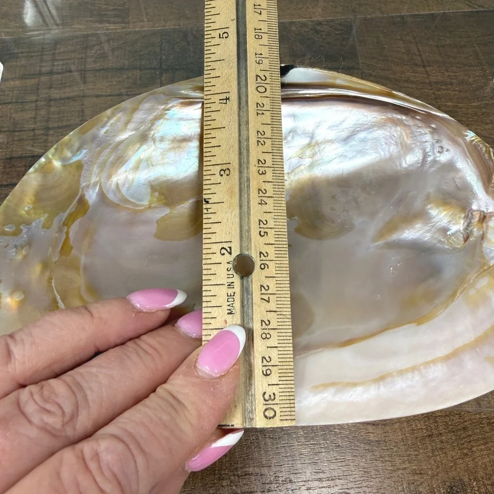 Mother of Pearl Shell Catchall Dish | Coastal Shell Craft Trinket Tray Feet